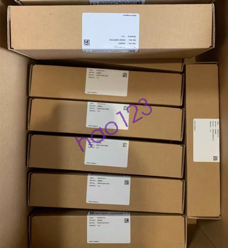 1PC PEPPERL+FUCHS R2-SP-IC12 Segment protector link module DHL/FedEx