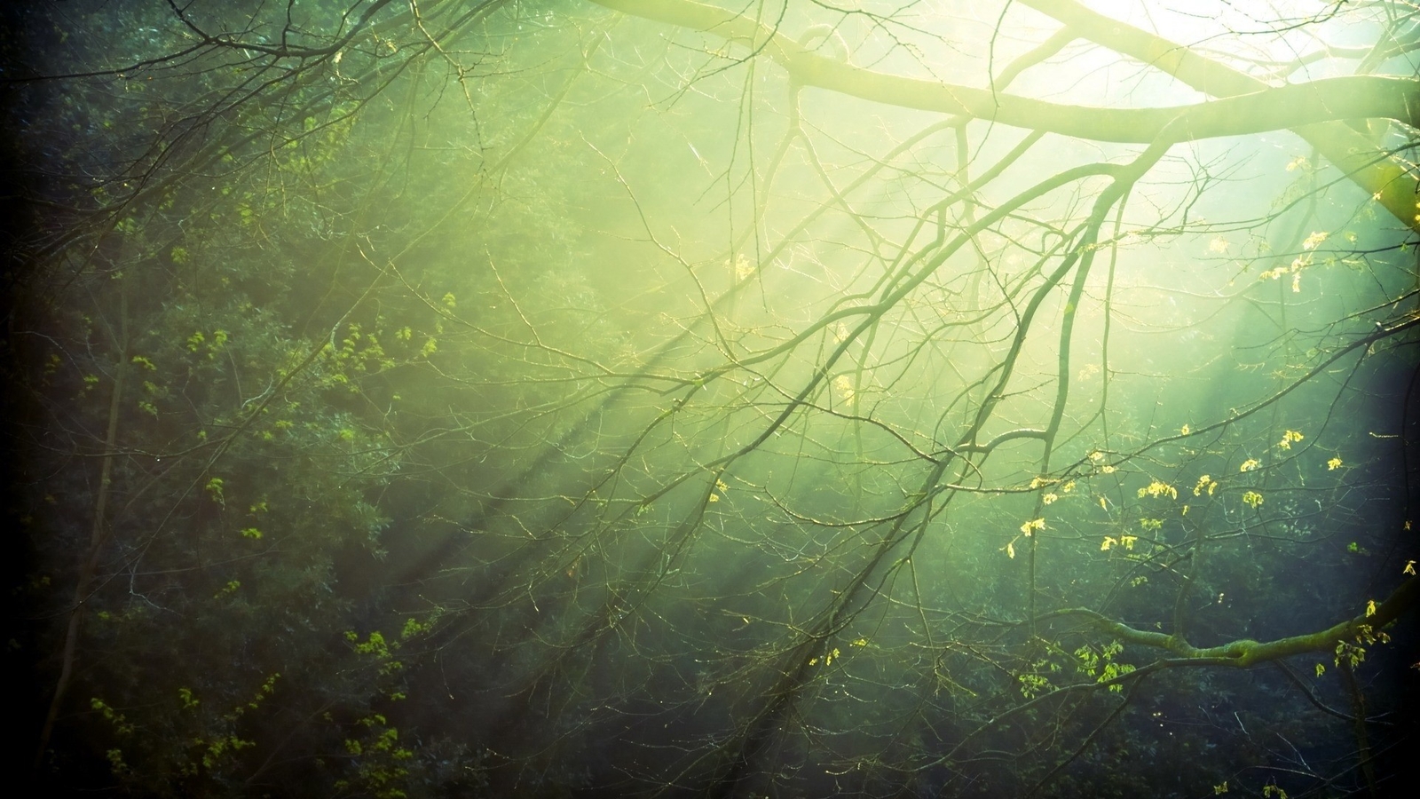 Landscape nature sunlight minimalism Custom Gaming Mat Desk