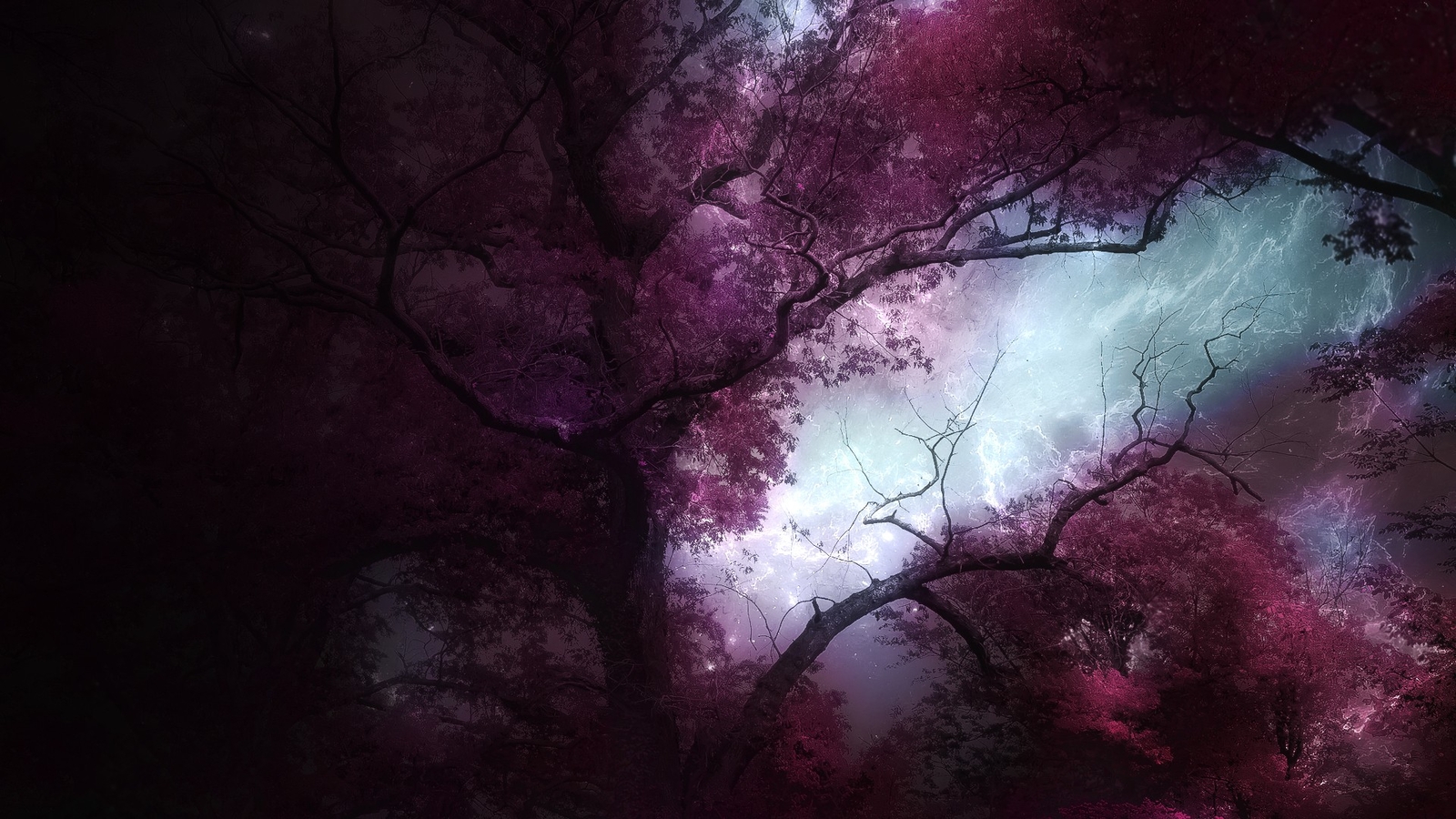 Landscape forest trees Custom Gaming Mat Desk