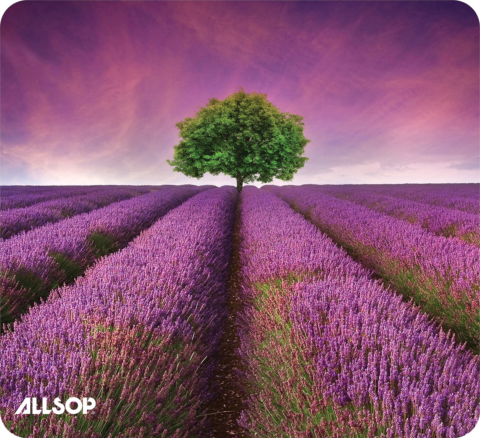 Allsop NatureSmart Image Mousepad - Lavender Field- [31422]