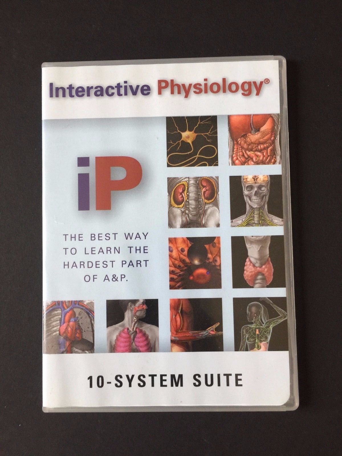 Interactive Physiology 10-System Suite CD Rom Anatomy A&P Pearson Study Tool