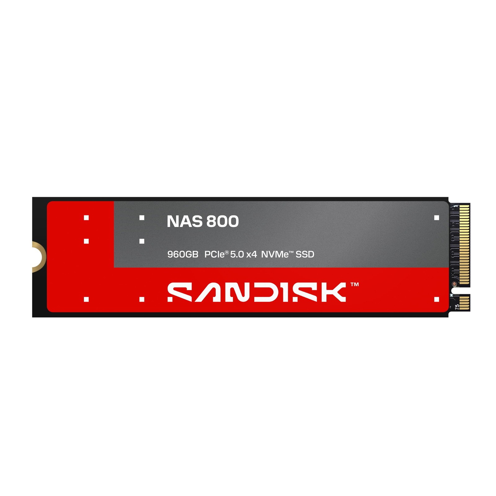 960GB SANDISK NAS NVME PCIE M2