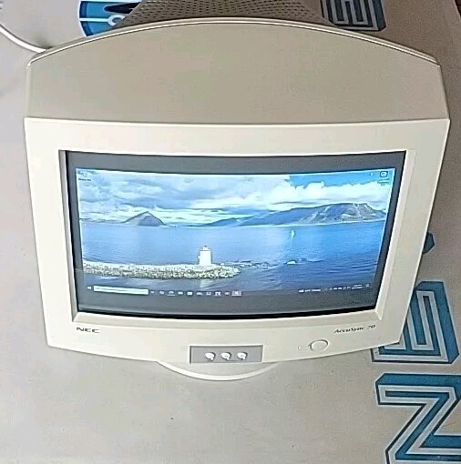 Vintage NEC AccuSync 70 16" AS70 VGA CRT Retro Gaming Computer Monitor