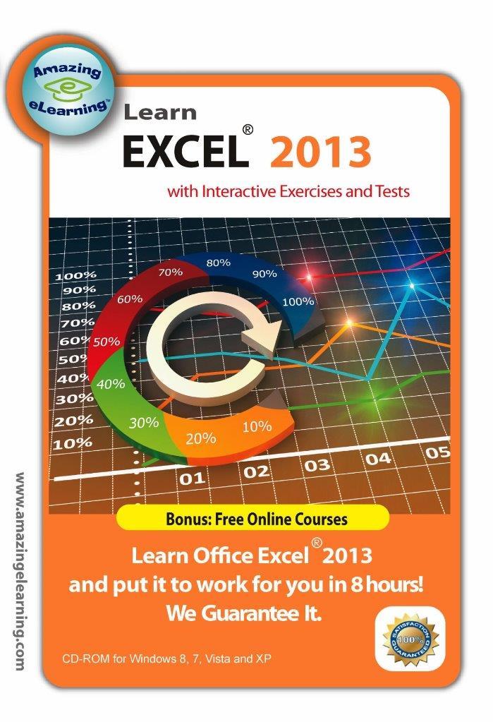 Learn Microsoft Office Excel 2013 Interactive Training DVD Course