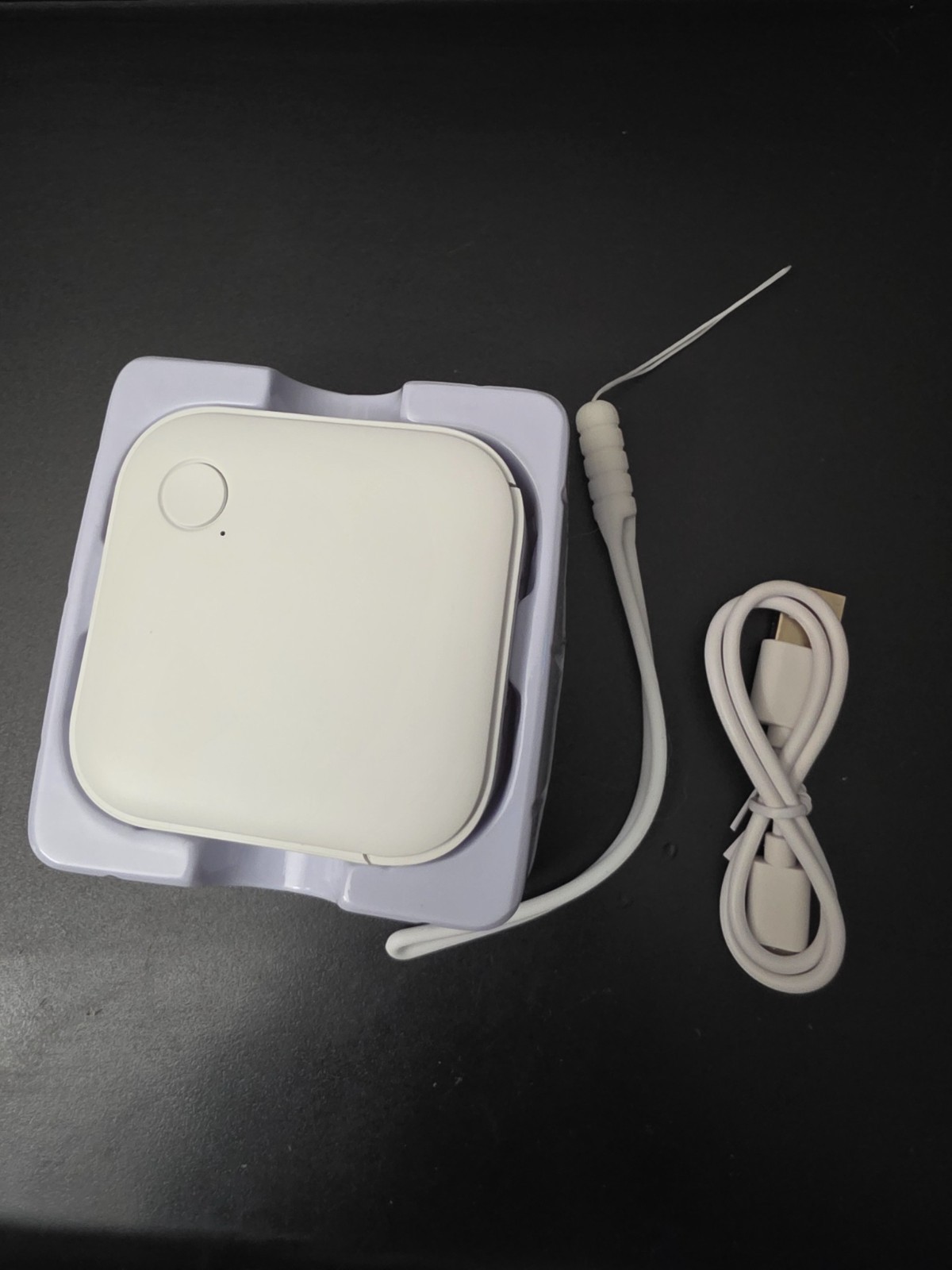 WHATOOK WP9529 Mini Bluetooth Thermal Label Printer White w/ Paper & USB Cable