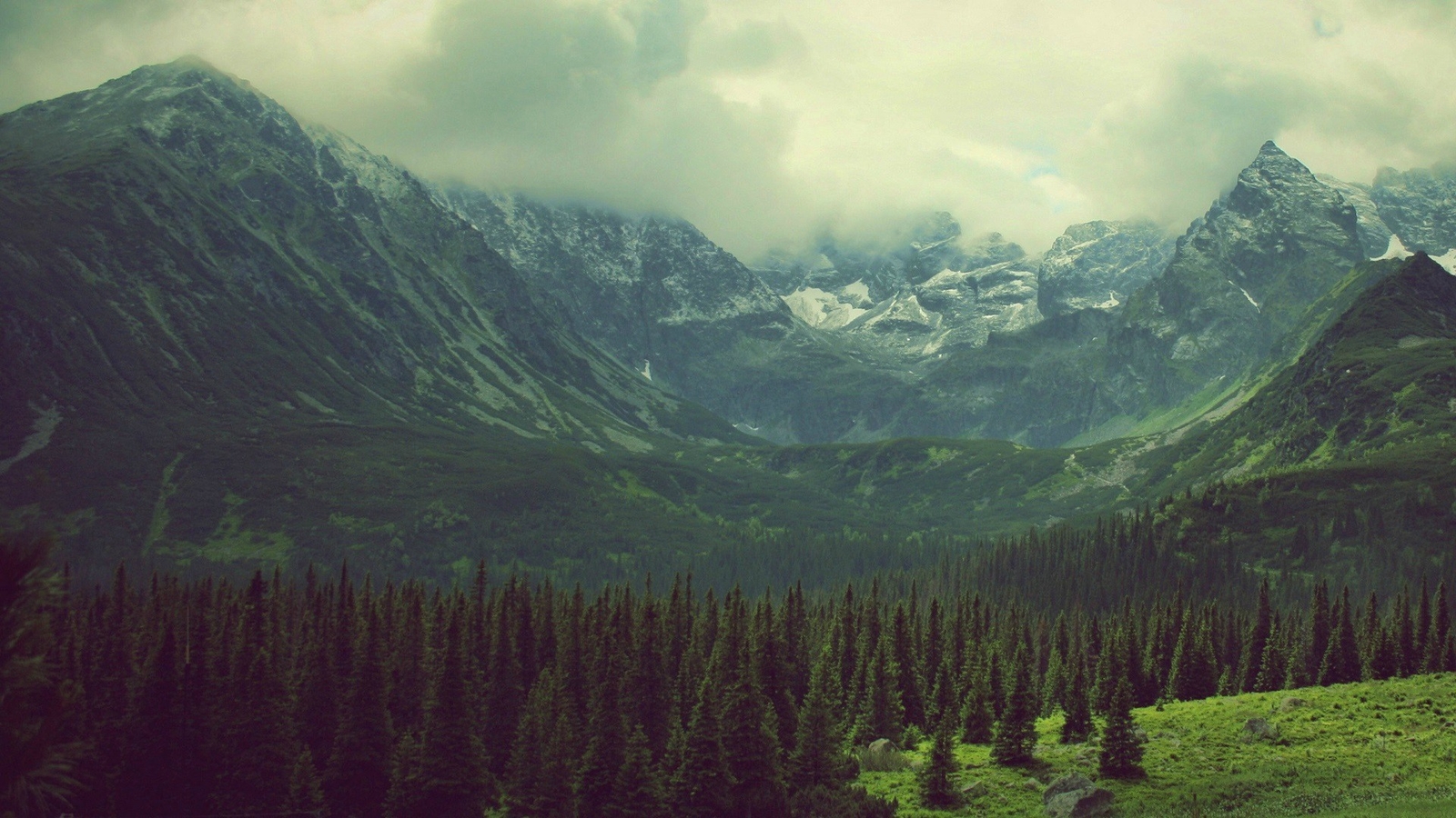 Landscape forest clearing mountains nature pine Custom Gaming Mat Desk