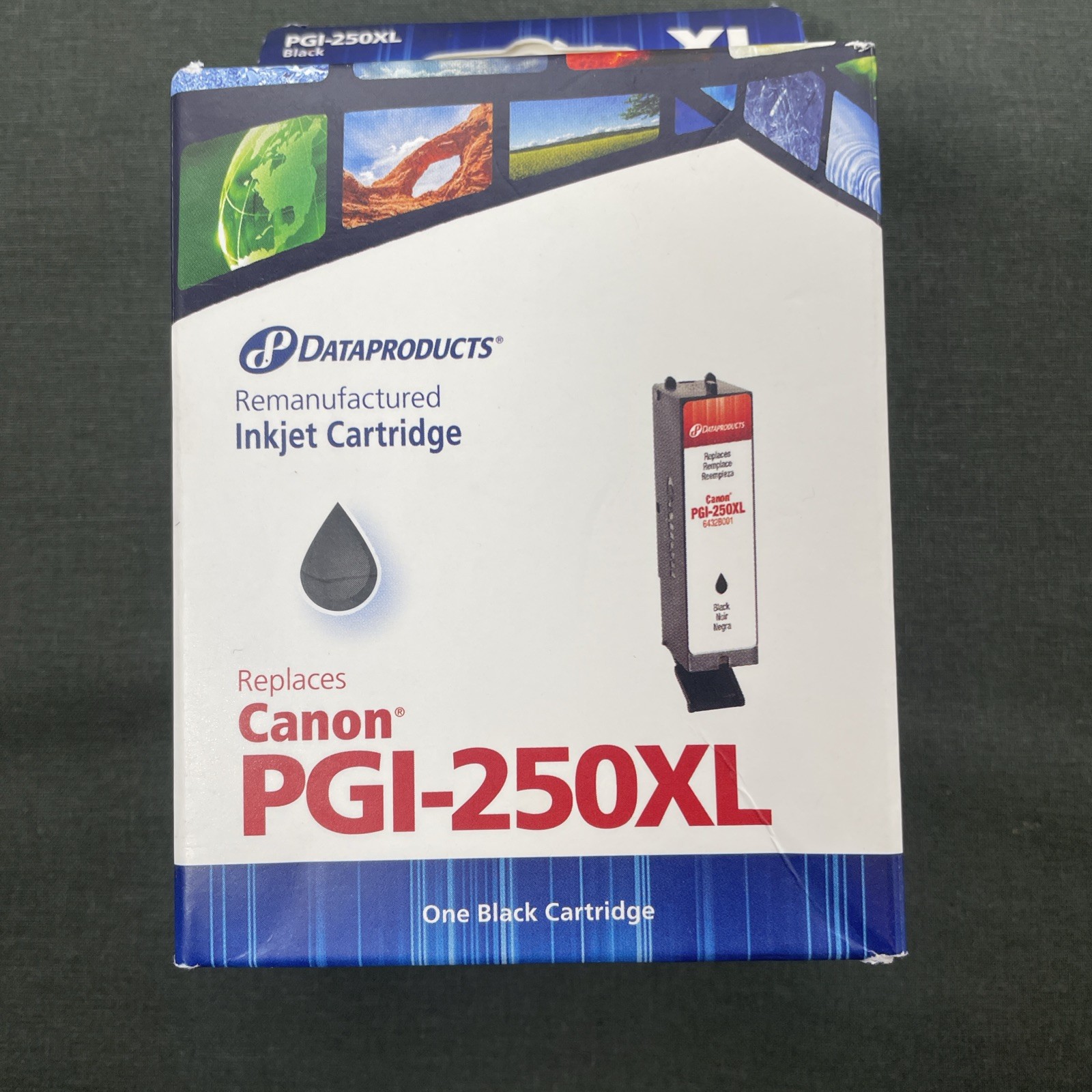 Dataproducts High Yield Inkjet Cartridge for Canon PGI-250XL (Black Ink)