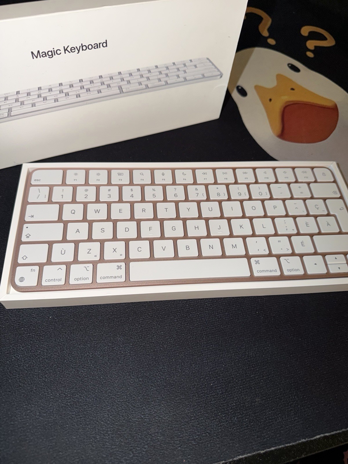 Apple Magic Keyboard Wireless Rose Gold Pink French Canadian QWERTY Layout A2450