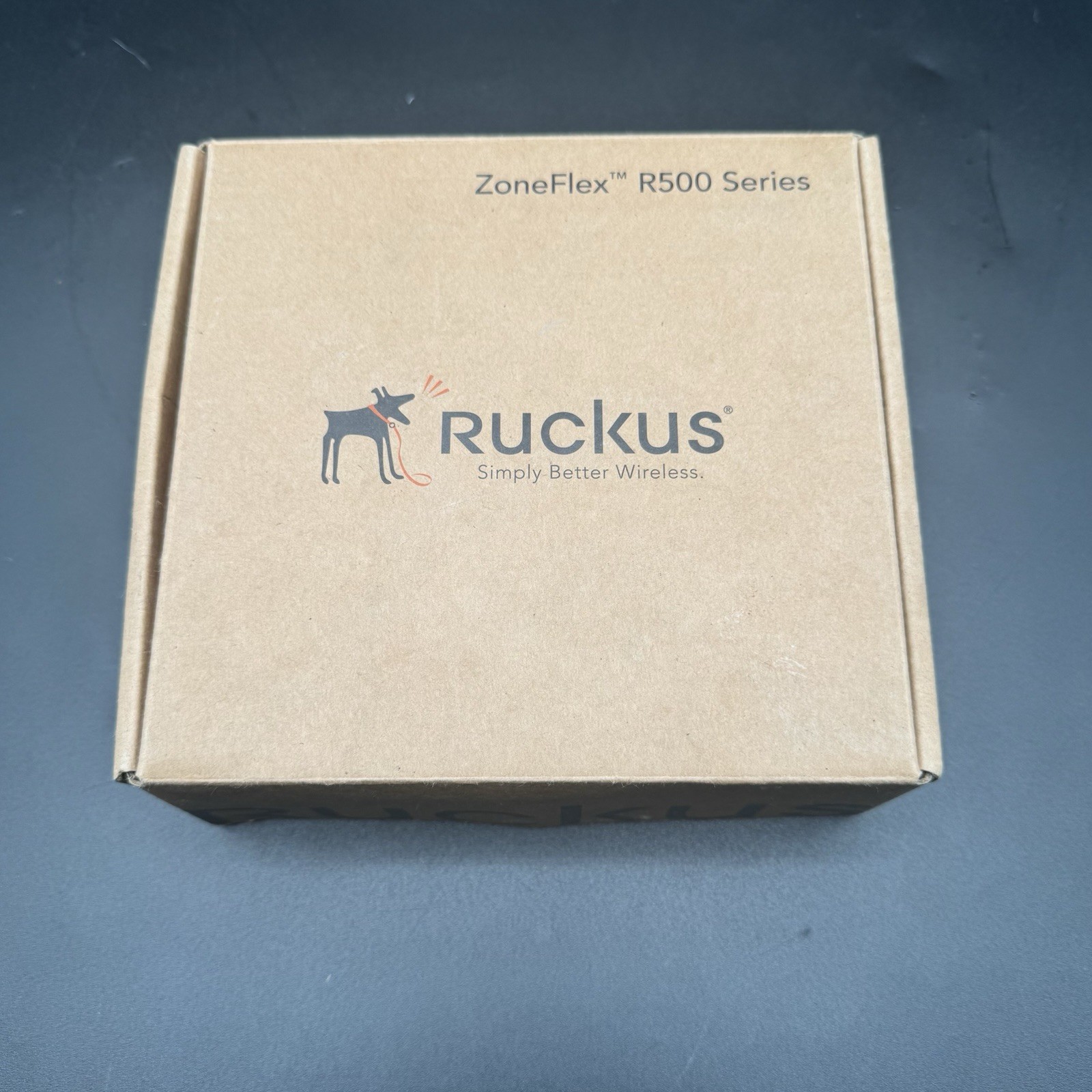 RUCKUS ZoneFlex R500 Series Unleashed AP Wireless Access Point 9U1-R500-US00