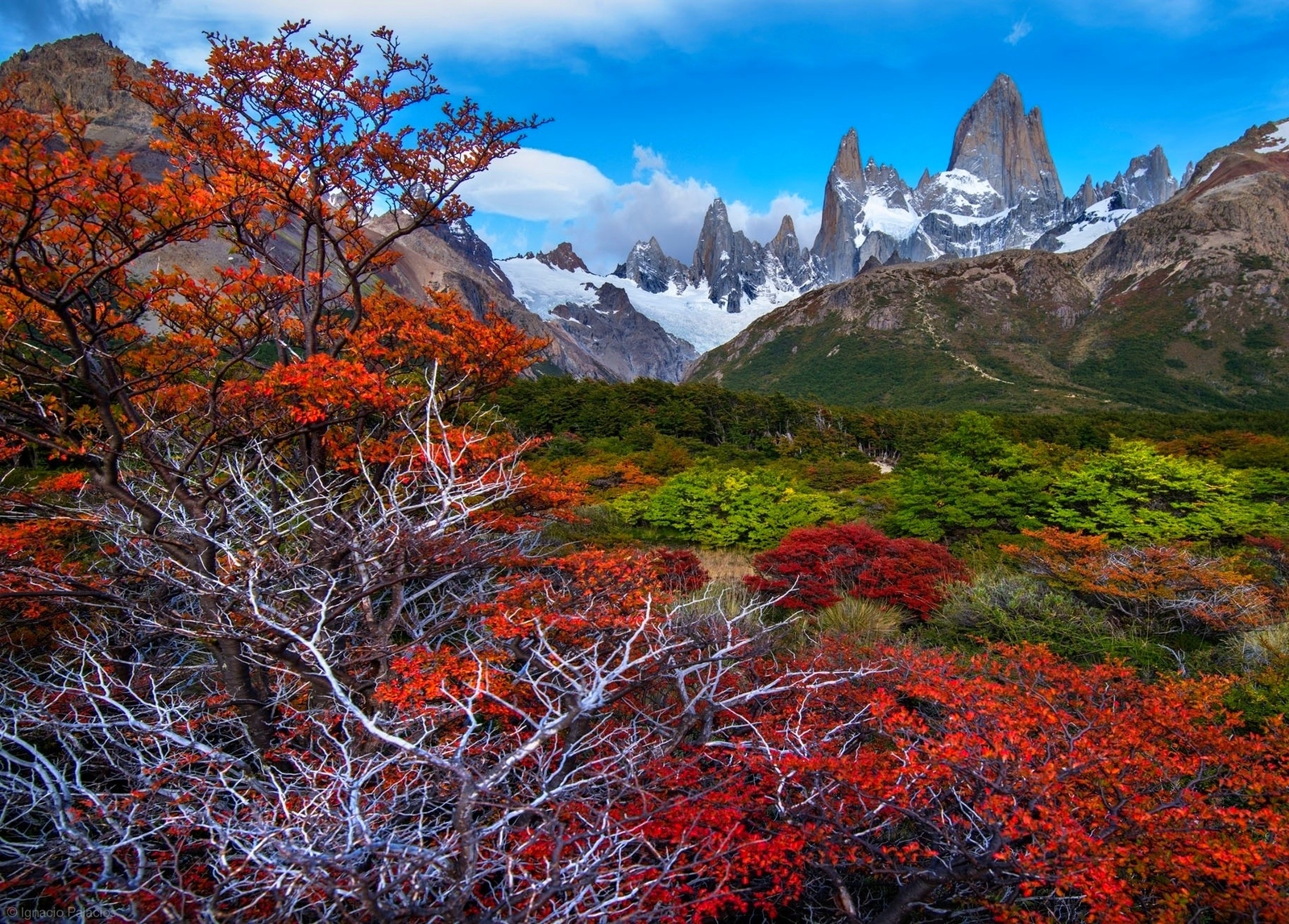 Landscape fall mountains forest patagonia trees snowy Custom Gaming Mat Desk