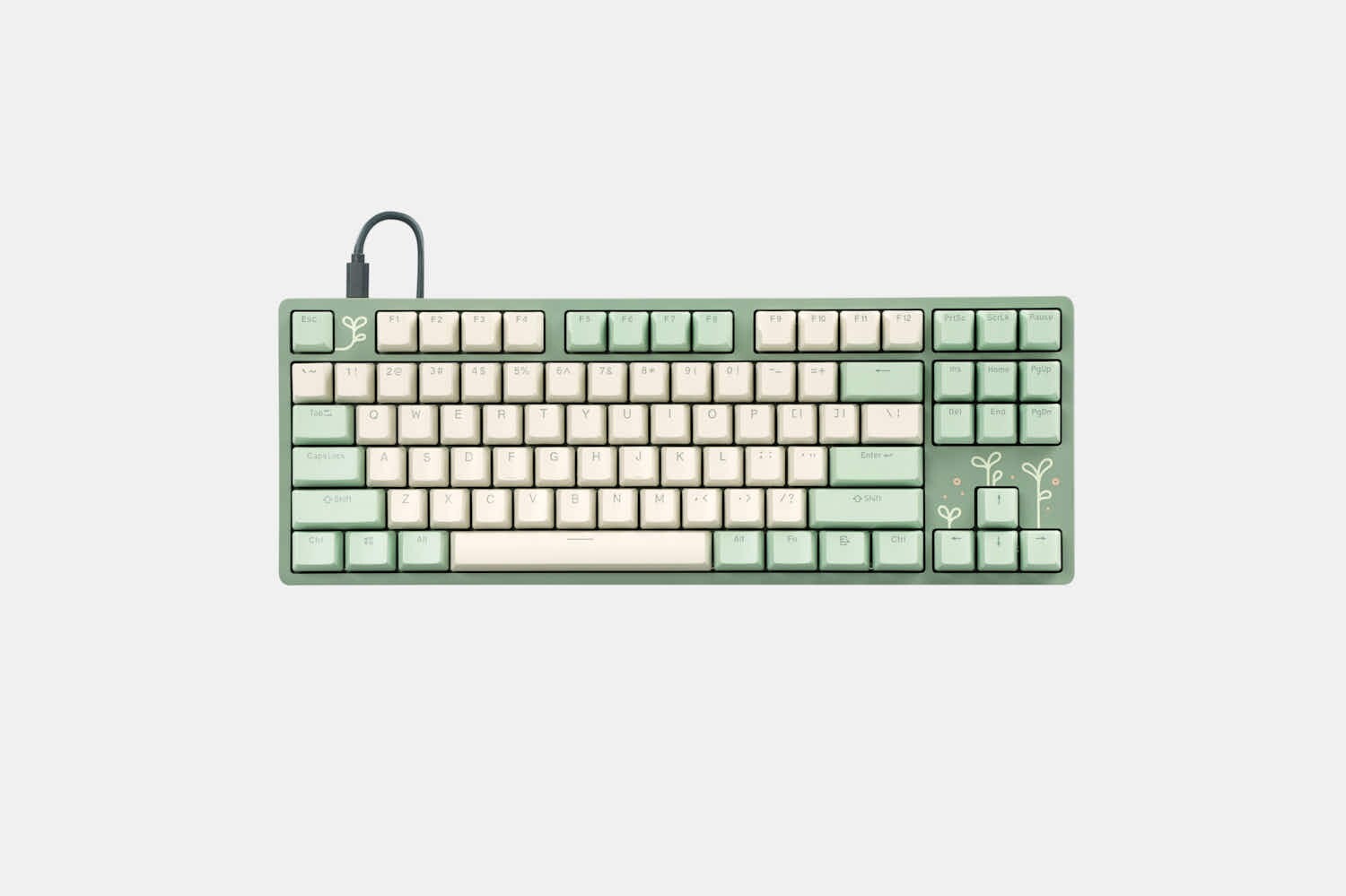 Drop ENTR Expressions Shinai Mechanical Keyboard TKL 87 Keys No Power