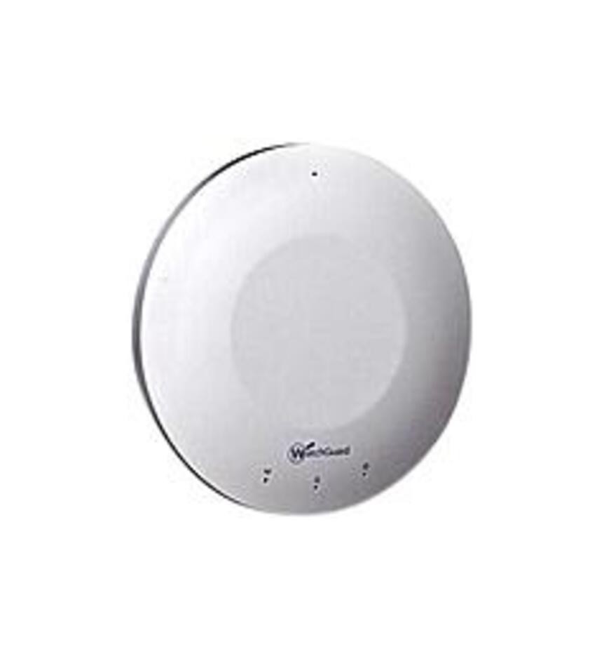 WatchGuard AP100 IEEE 802.11a/b/g/n 300 Mbit/s Wireless Access Point - WG001581