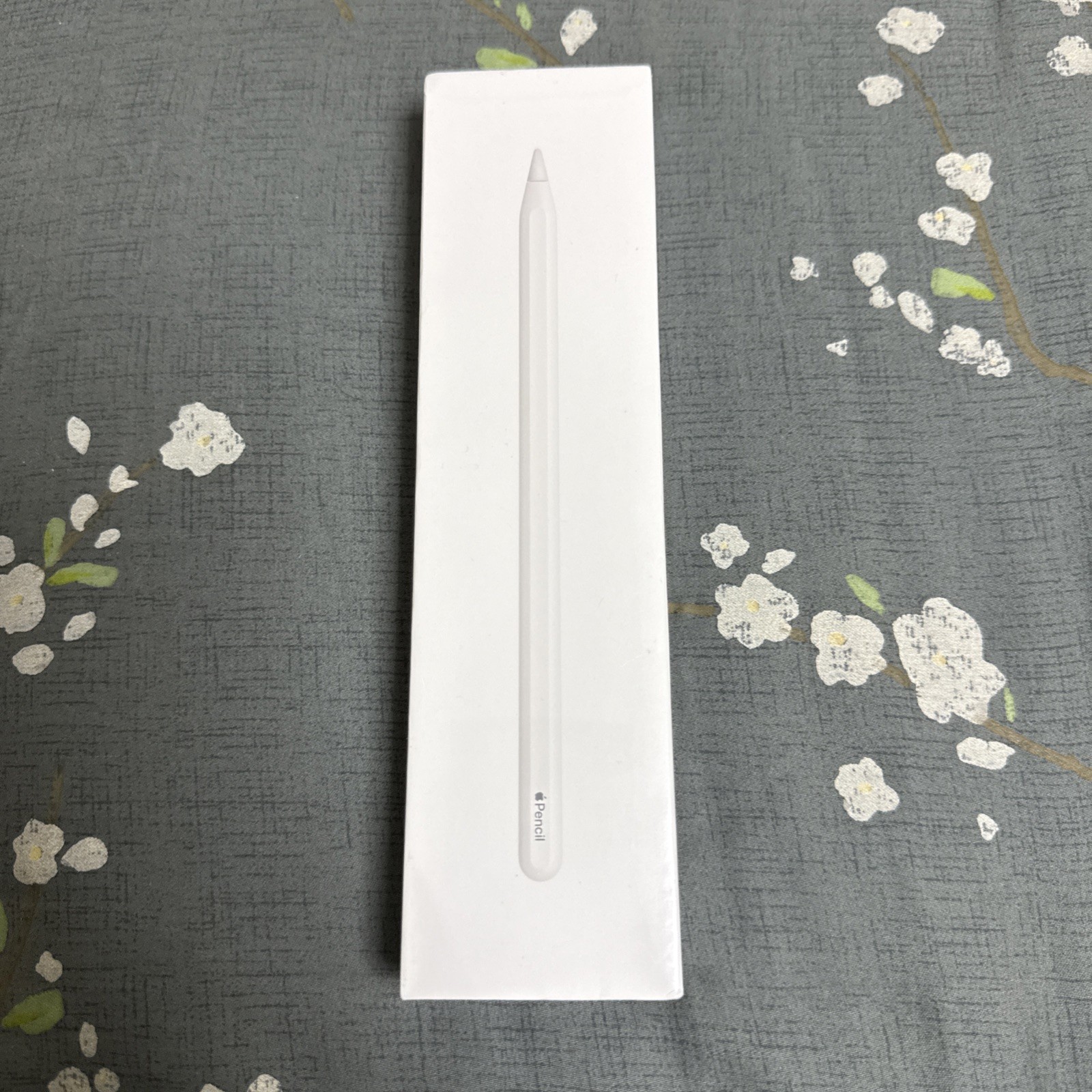 BNIB Apple Pencil 2nd Gen For iPad Pro/Mini/Air White $129 MSRP *see Description