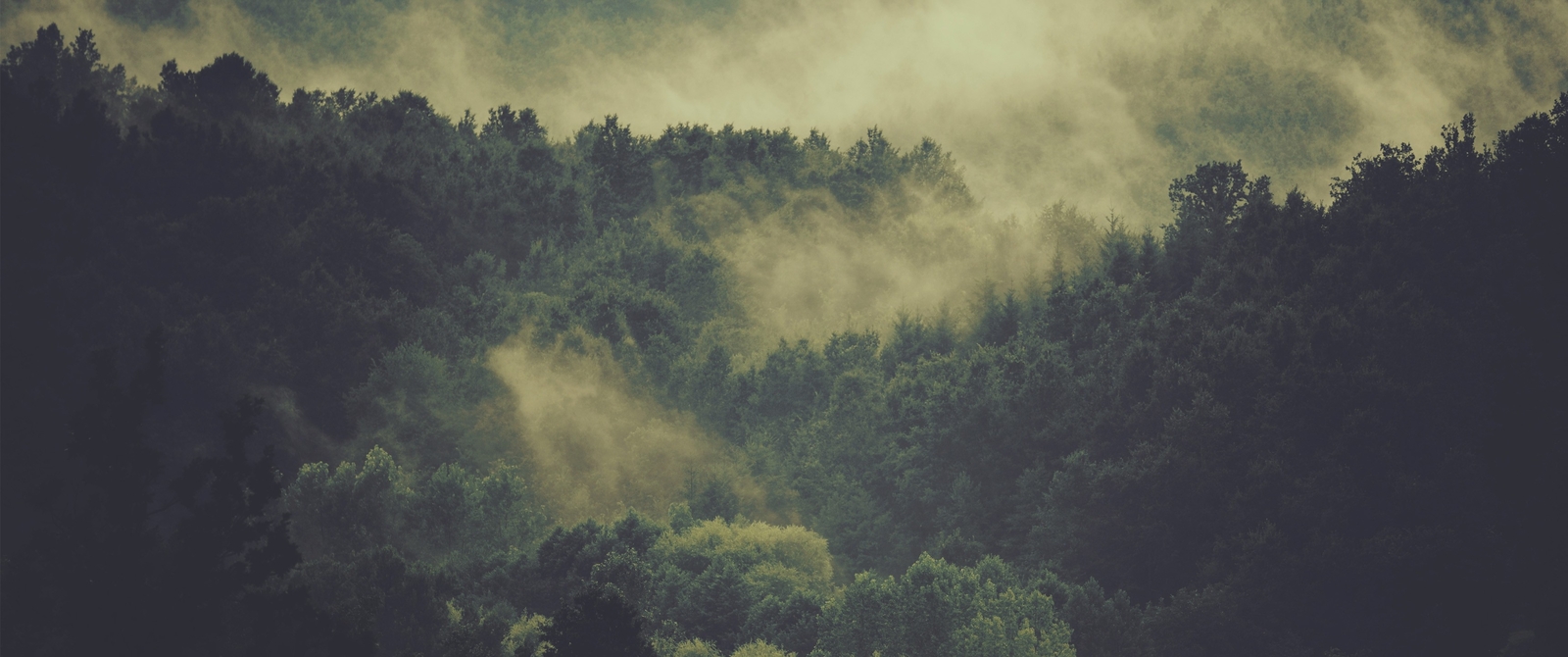 Landscape forest mist Custom Gaming Mat Desk