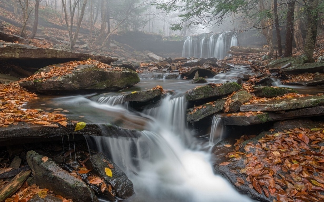 Landscape morning mist waterfall leaves forest Custom Gaming Mat Desk