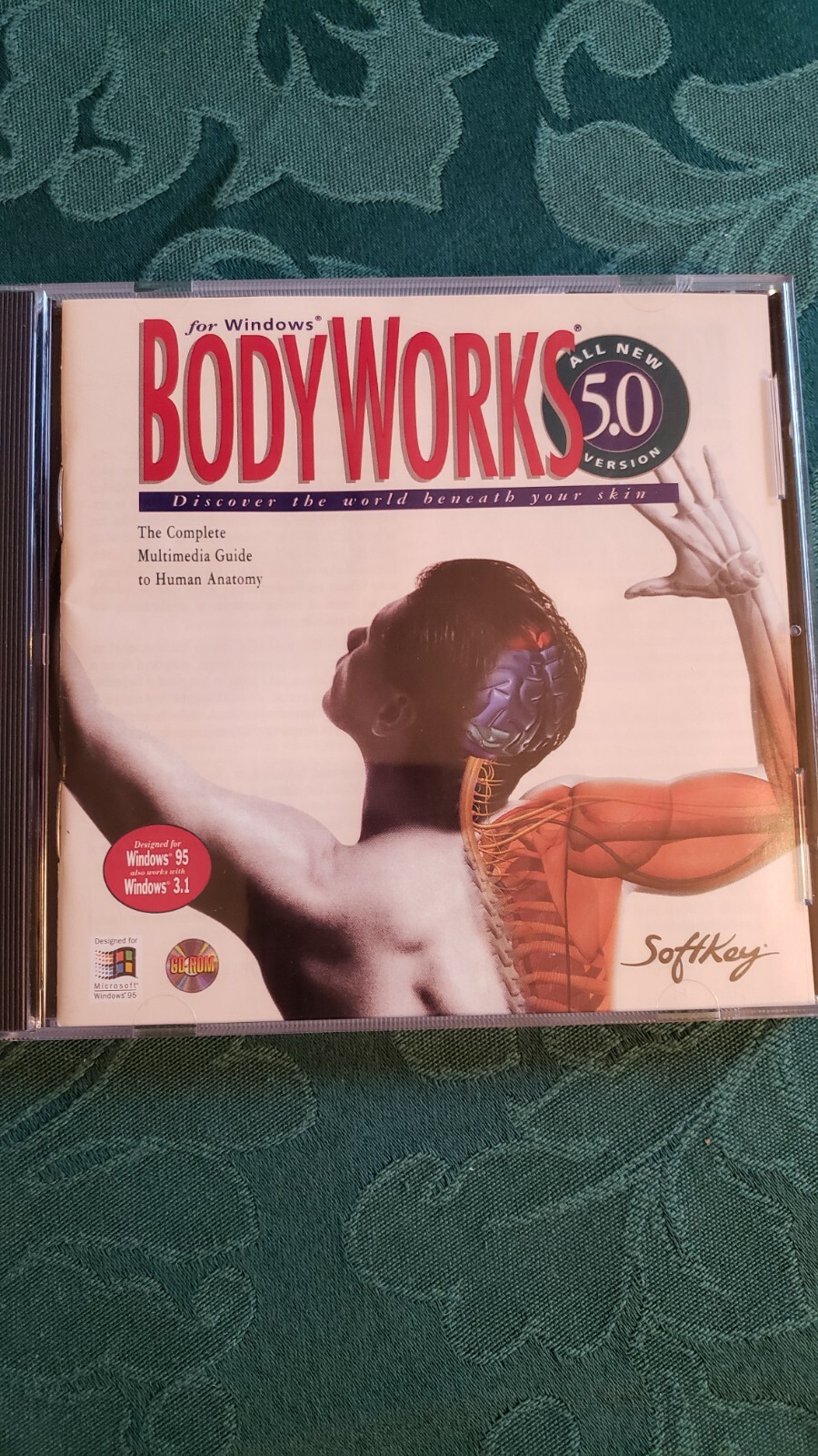 Body Works 5.0 CD (Guide to Human Anatomy by Softkey) Windows 3.1 / 95