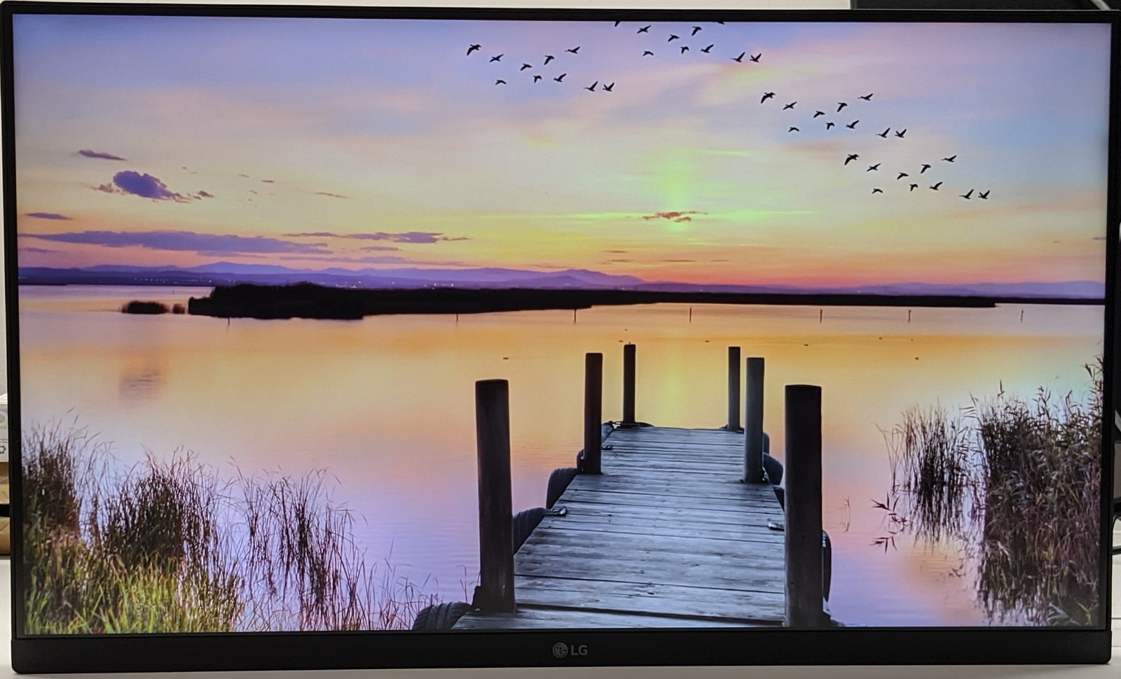 LG 24MS500-B 24in LCD MONITOR