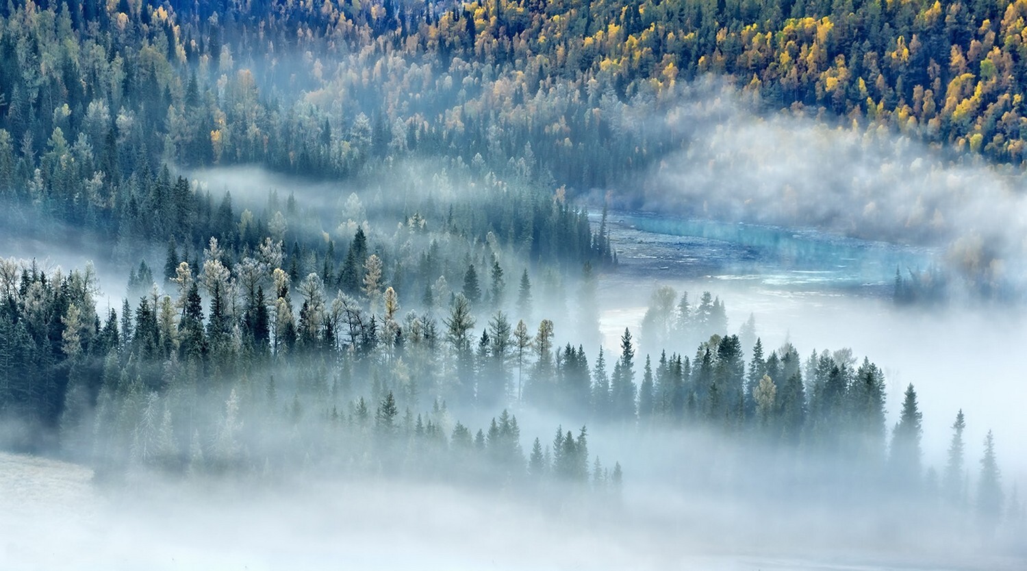 Landscape nature mist river forest fall morning trees Custom Gaming Mat Desk