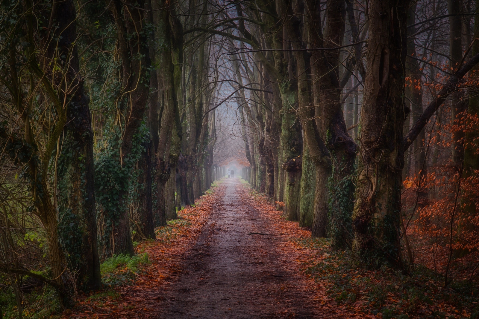 Landscape dark park trees fall path mist dirt Custom Gaming Mat Desk