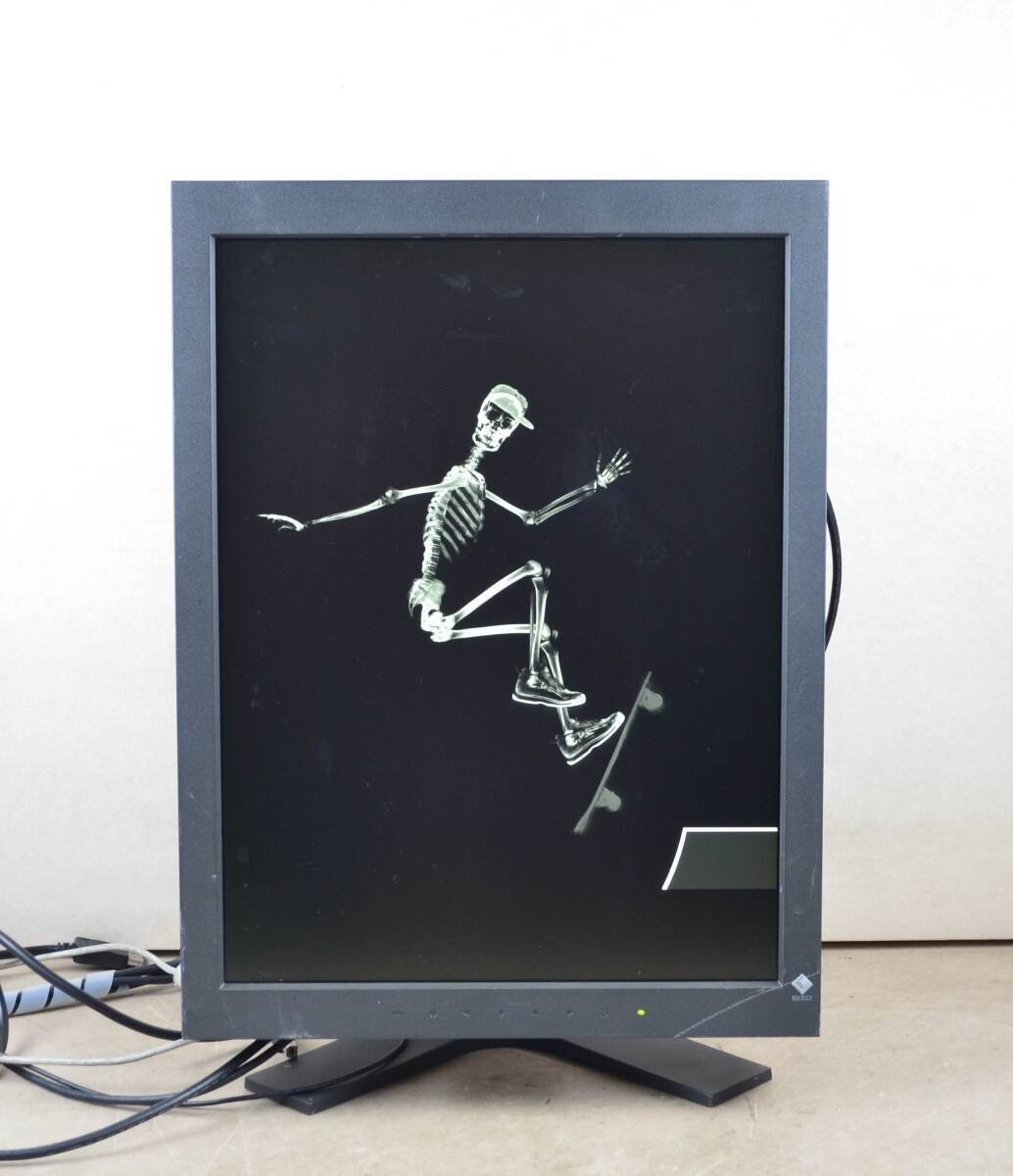EIZO Radiforce RX240 21.3-inch Medical High-quality IPS LCD Monitor Japan Used