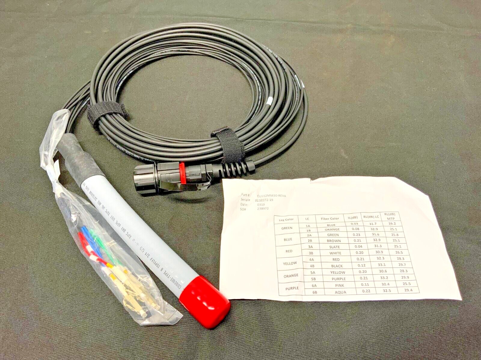 IP-MPO Male/LC-UPC OM3 50um Mini Armored 12 Strand I/O LSZH 30' CUIJ12MM30-REVA