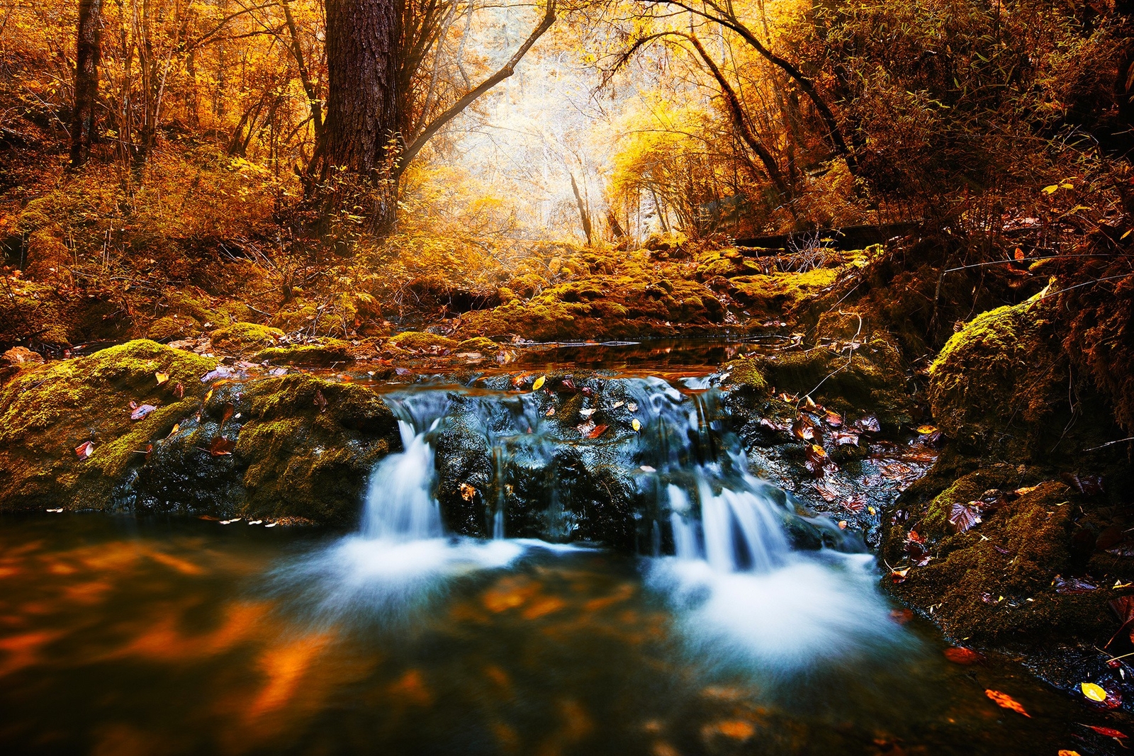Landscape forest river creeks fall wilderness long Custom Gaming Mat Desk