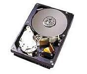 IBM 73P8002R 80GB SIMPLE-SWAP SATA HDD ~E~