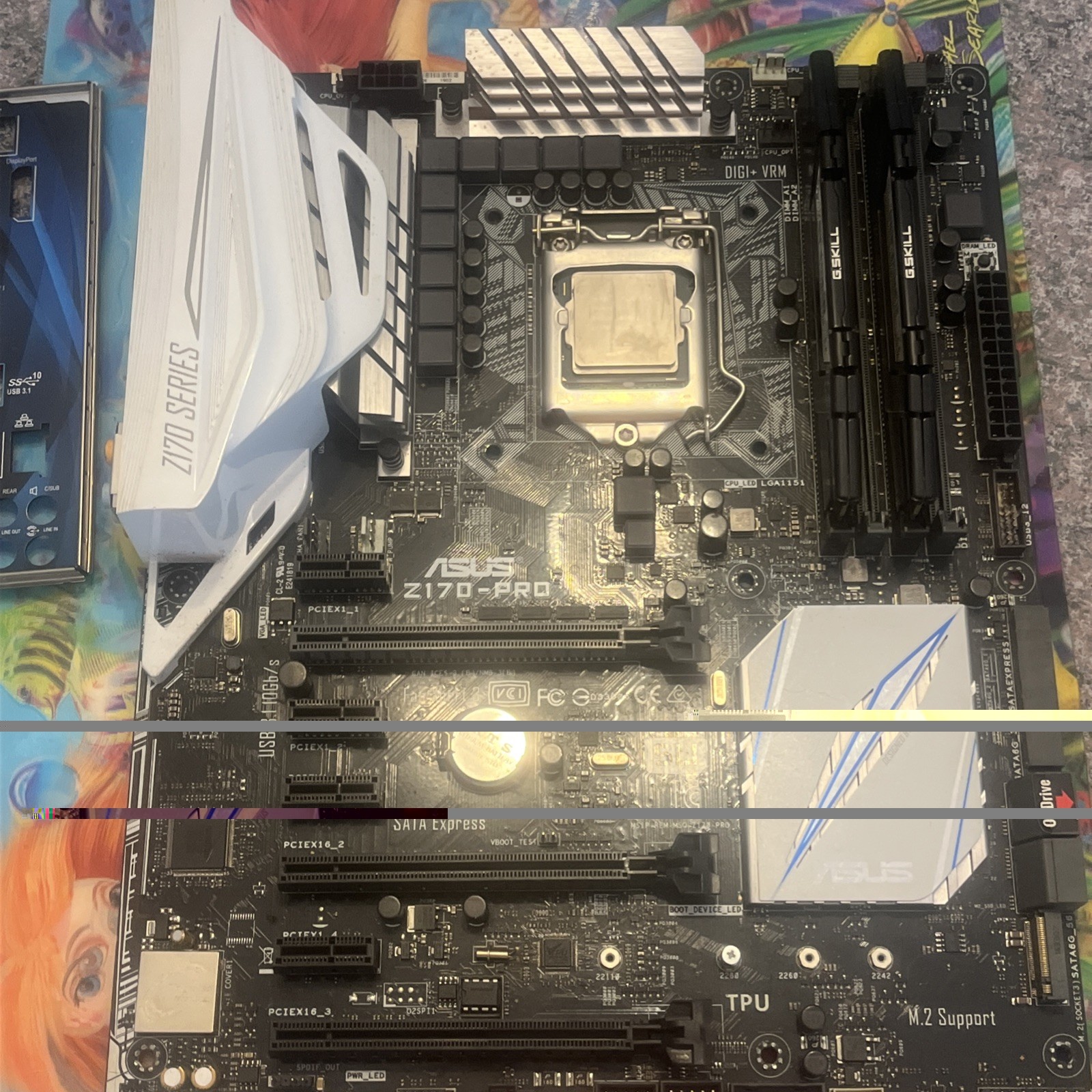 Intel 6700k CPU / Asus Z170 Pro Mobo 32 Gig Ripjaw Ram Evga1000 Gu Psu