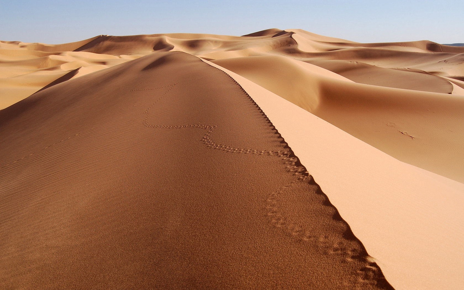 Landscape desert nature sand Custom Gaming Mat Desk