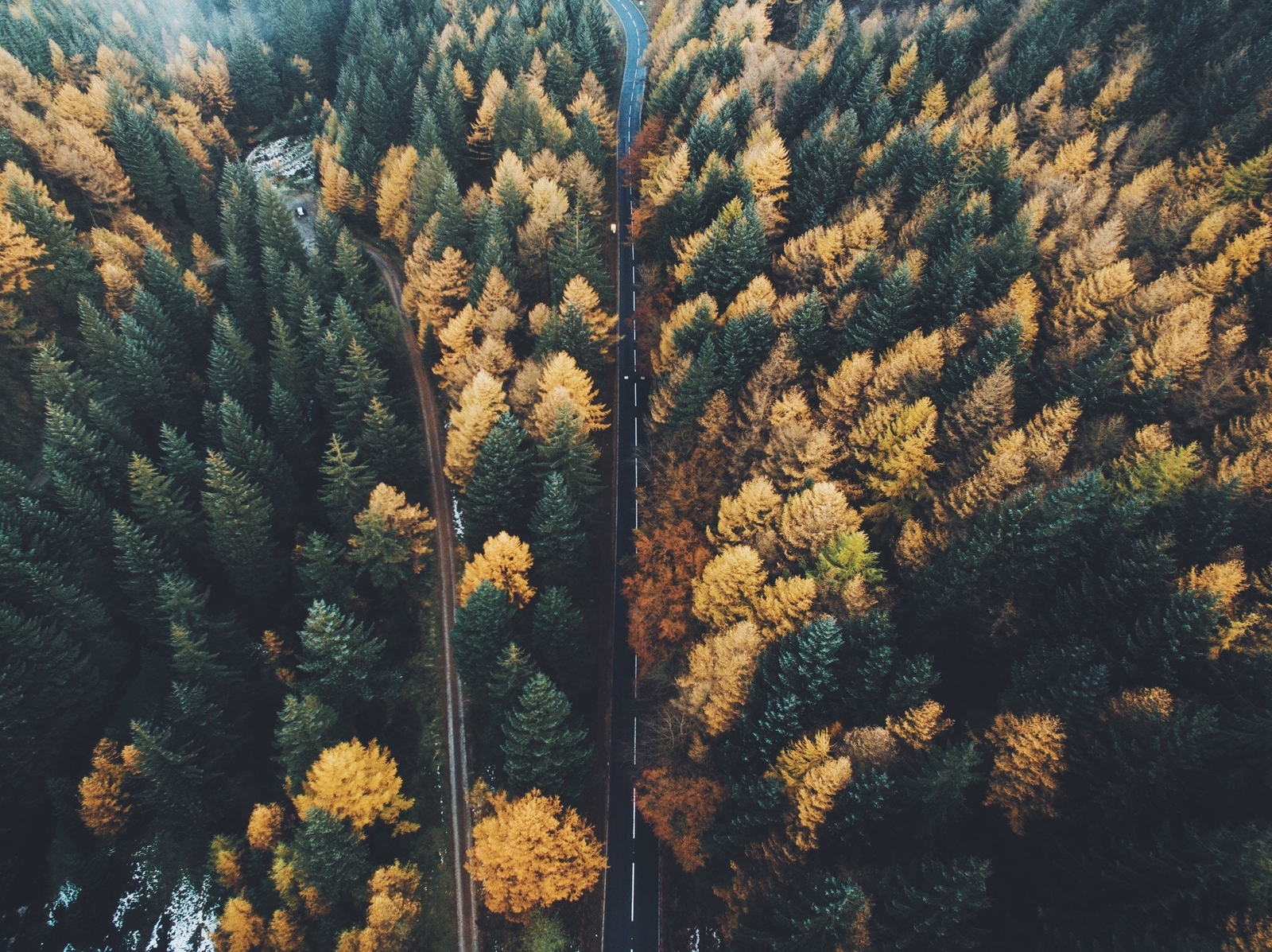 Landscape aerial view trees fall drone Custom Gaming Mat Desk
