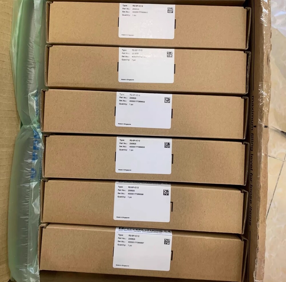 Pepperl+Fuchs R2-SP-IC12 module