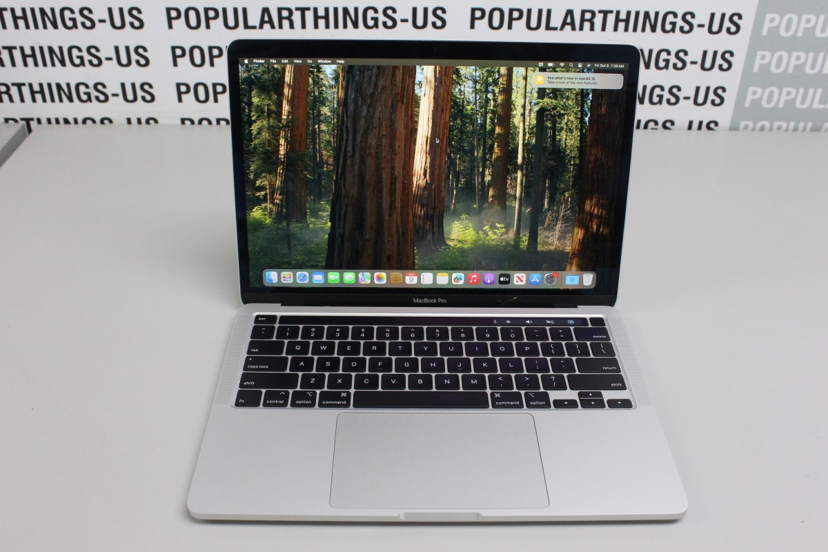 Apple Macbook Pro 13" (256GB, Intel Core i5, 1.4GHz, 8GB) Laptop sil (C31040453)