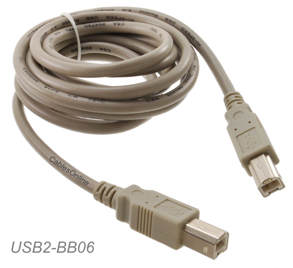 6ft USB Type-B Male to USB Type-B Male USB 2.0 Cable, CablesOnline USB2-BB06