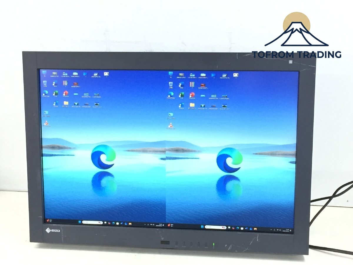 EIZO RADIFORCE RX440 29.8" Monitor DP/DVI-D x2 Input Terminals As-Is from Japan