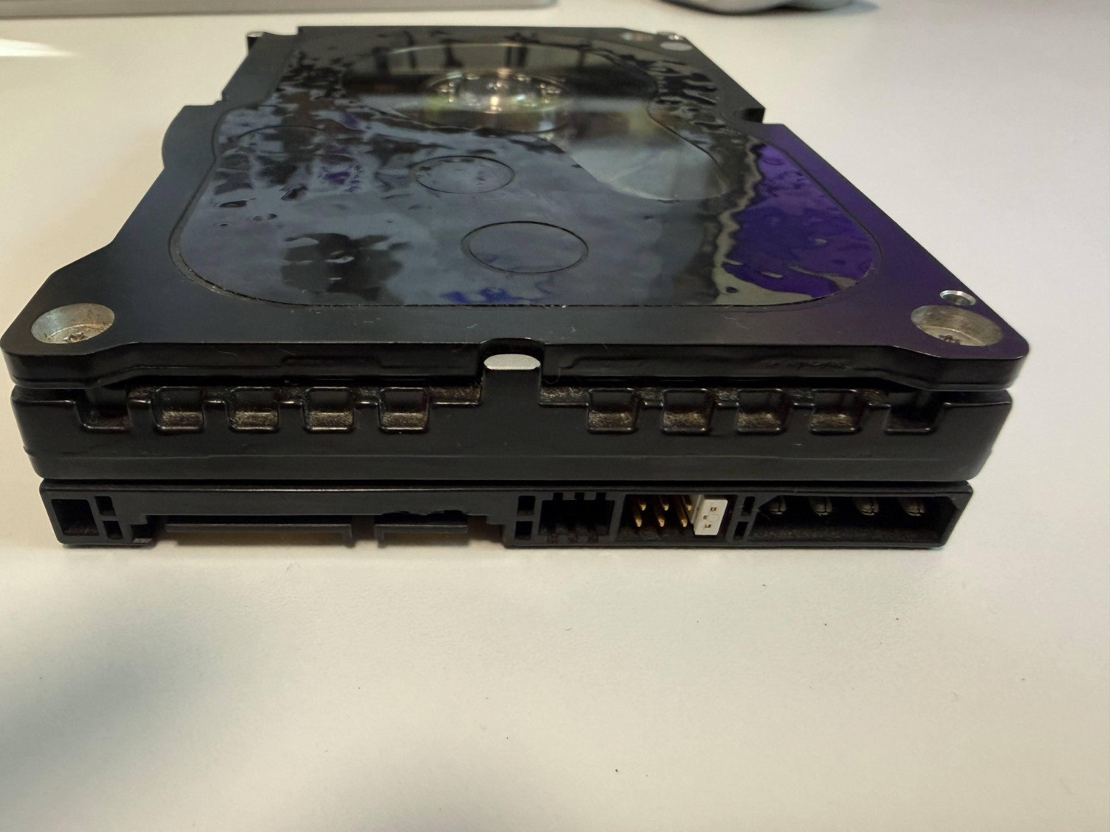 Western Digital Raptor 150GB Internal 10000RPM 3.5" (WD1500ADFD-20PK) HDD