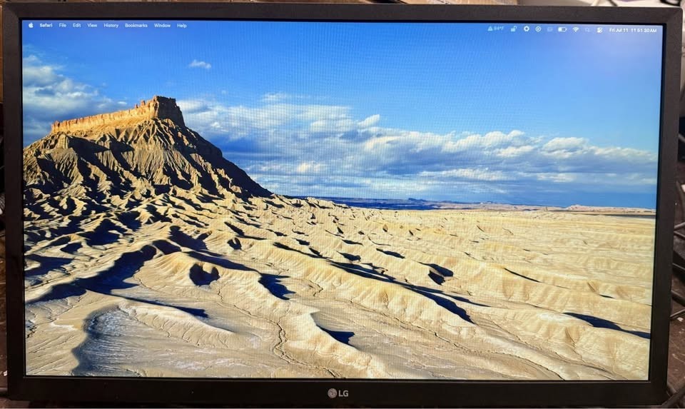 *NO STAND* LG 24ML44B-B 24in Widescreen IPS LED FreeSync Monitor - F25