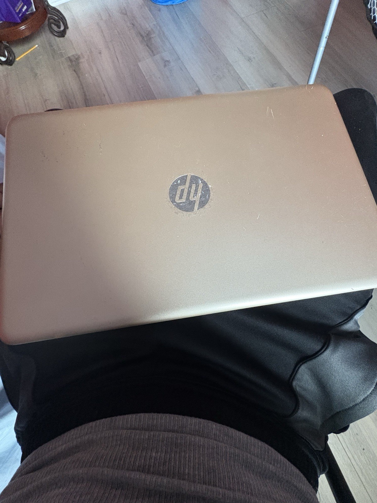 HP Pavilion Laptop Computer Windows 10