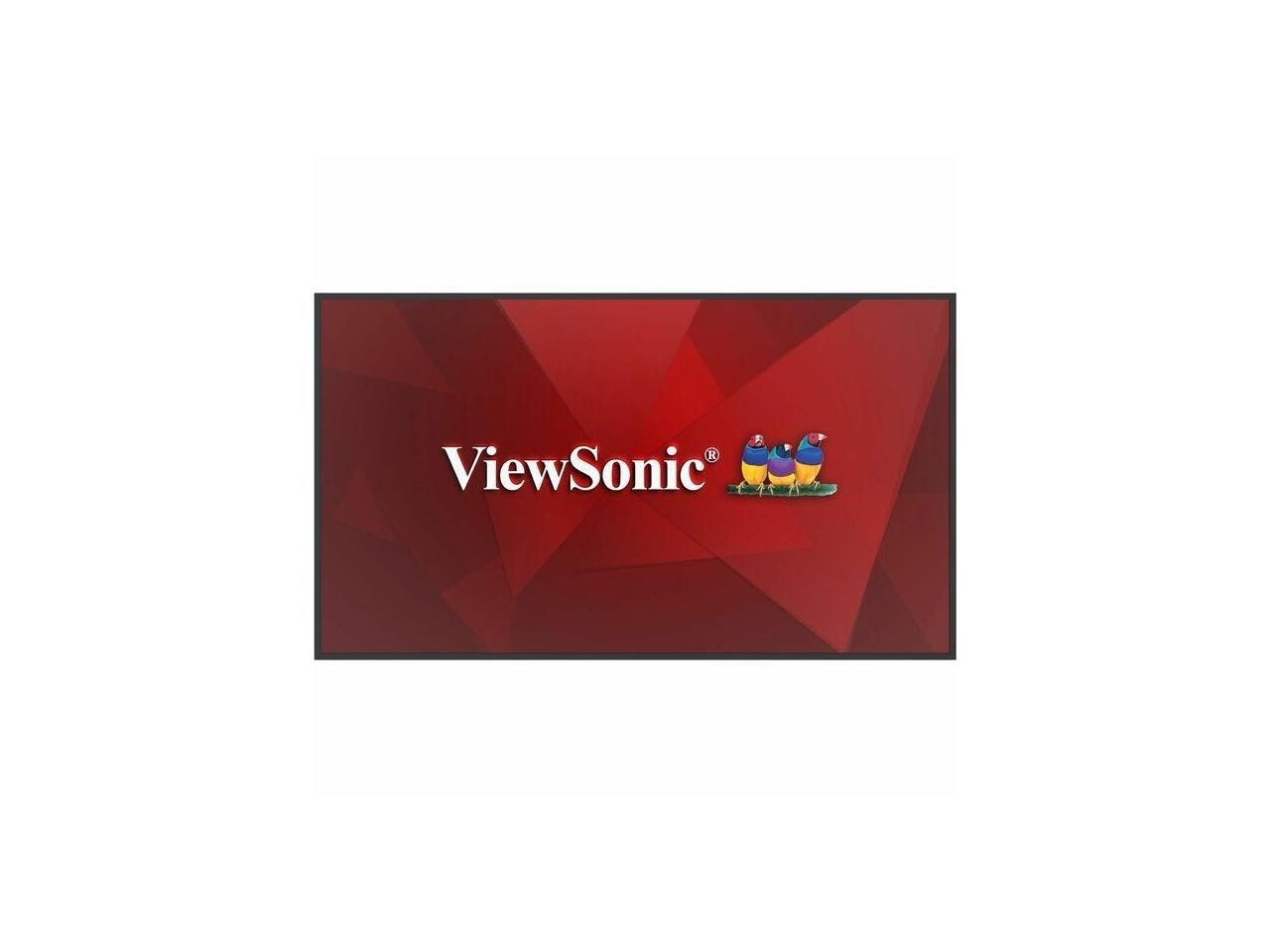 ViewSonic CDE4331 43 Inch 4K UHD Display 500-nit 8GB RAM