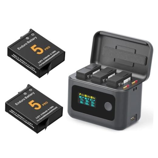 Osmo 360 Battery(2 Packs) with 24W Fast Basic Charger with 2 Batteries
