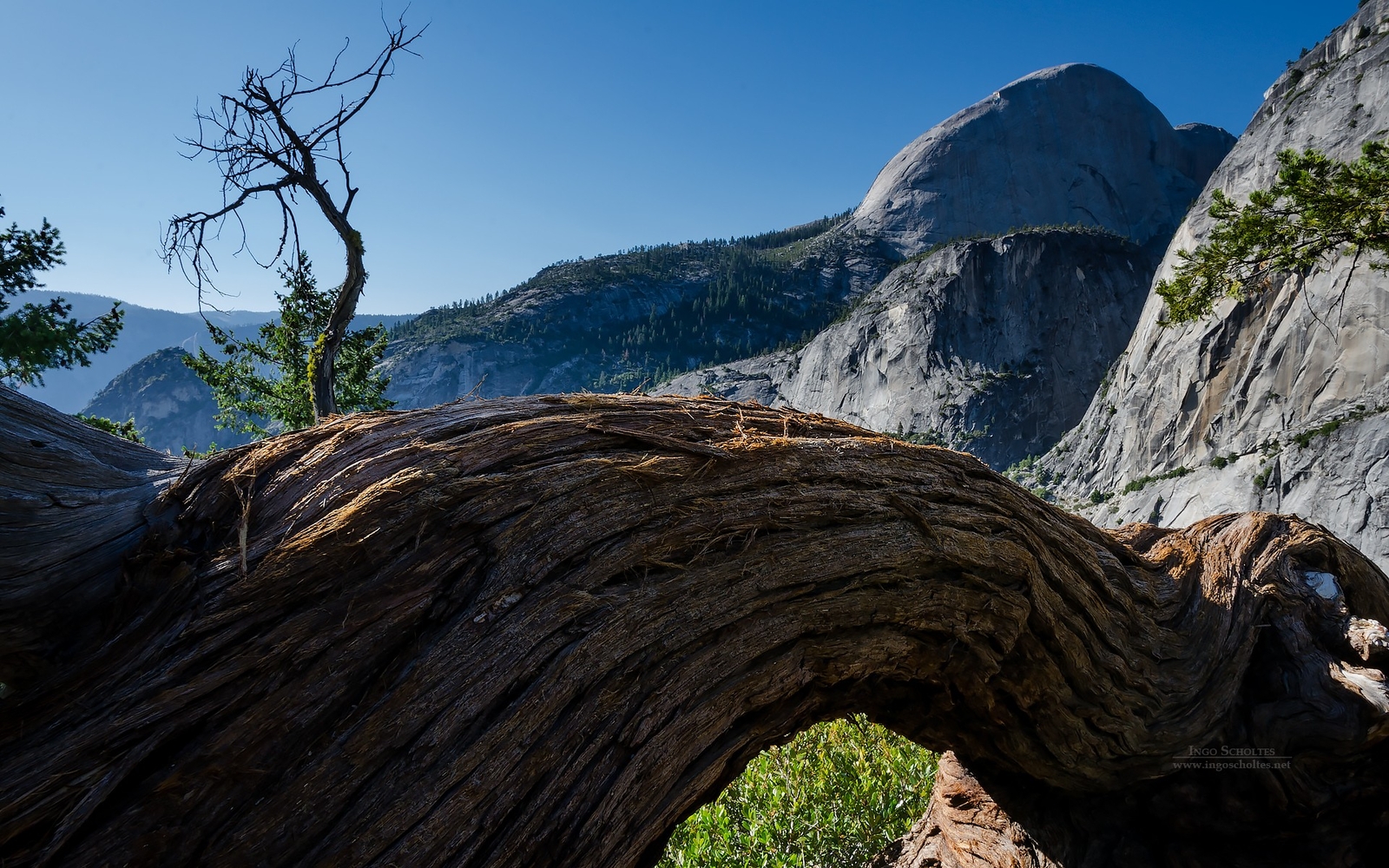 Landscape nature mountains trees yosemite national park Custom Gaming Mat Desk