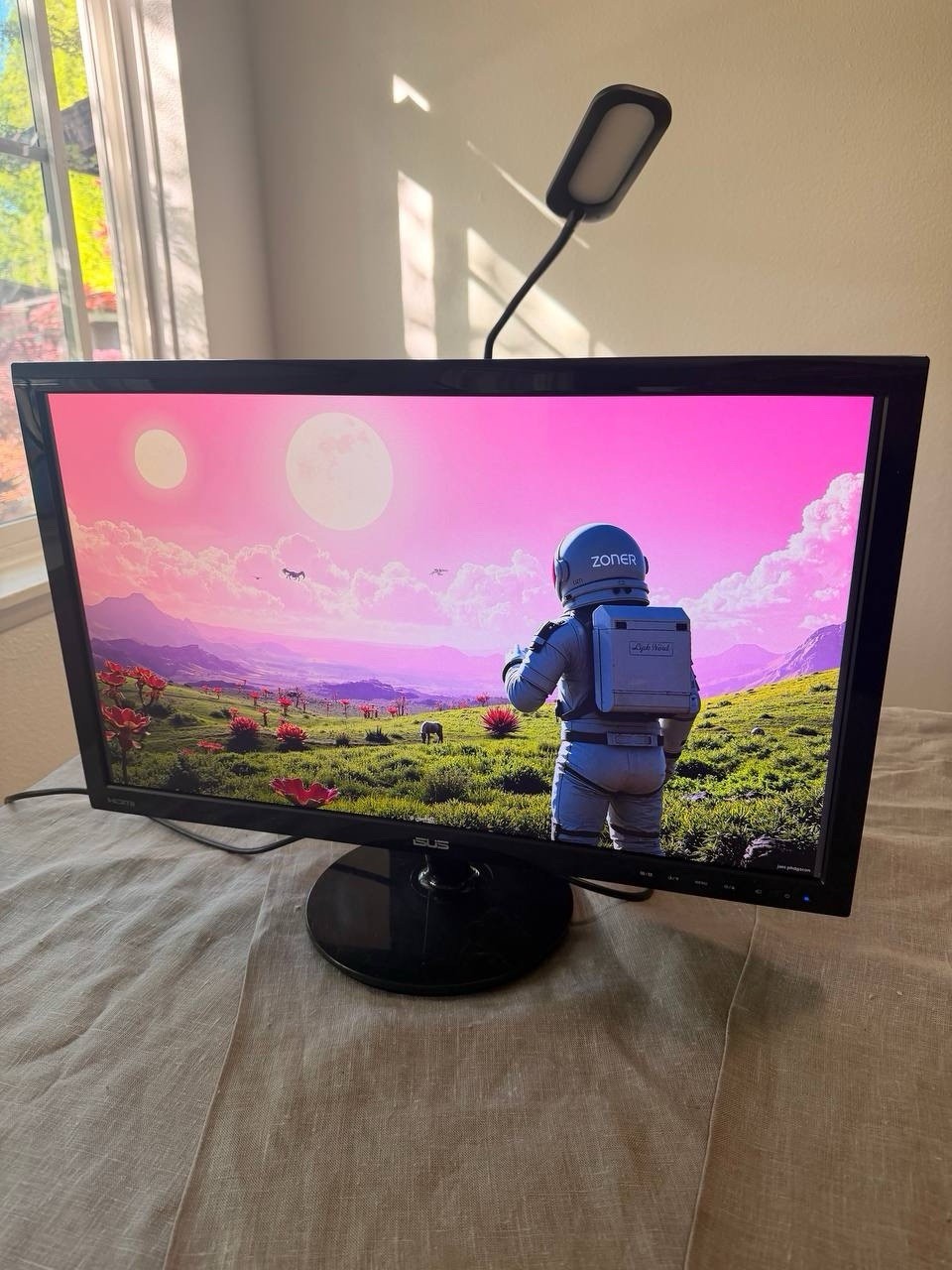 ASUS VS248 24” Monitor With Stand Used Tested LCD Display