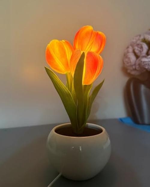 Tulip Flower Lamp LED Desk Night Light with Vase () Pink