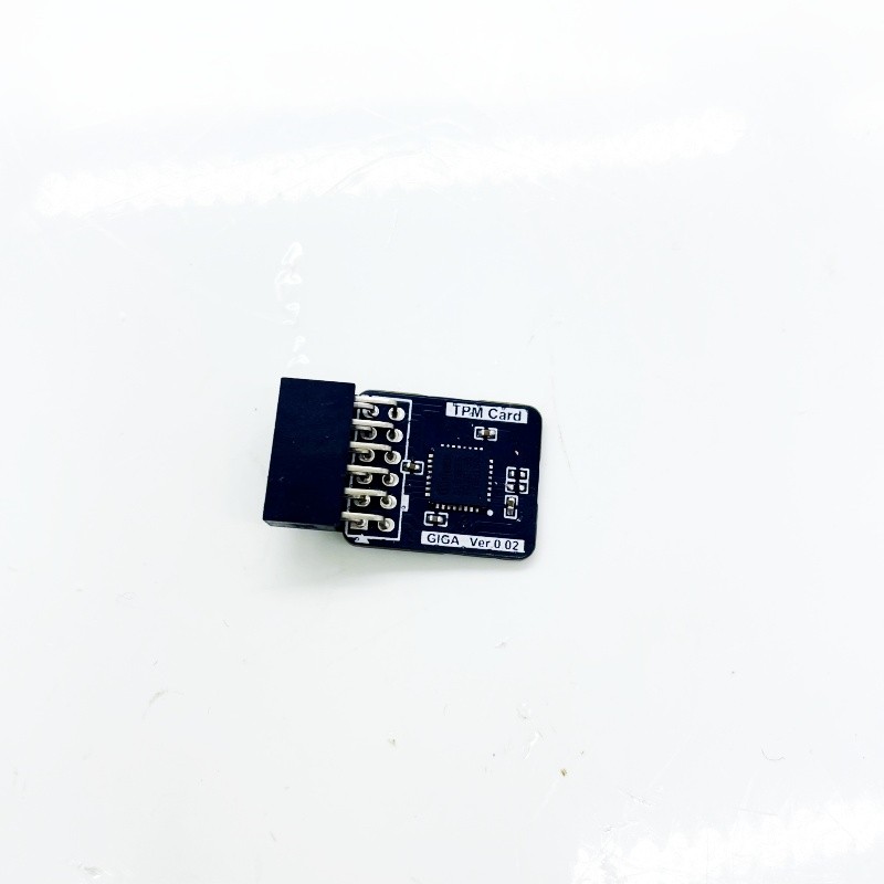 GC-TPM2.0_S (12 Pin 12-1) LPC TPM 2.0 Trusted Platform Module