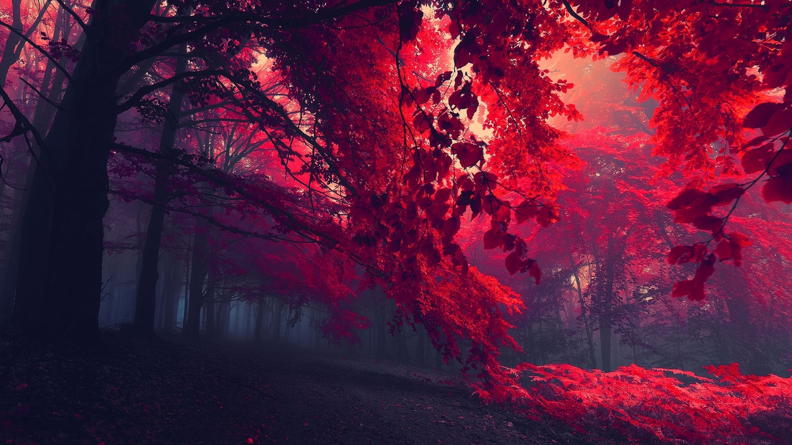 Landscape dark red nature forest trees leaves mist fall Custom Gaming Mat Desk