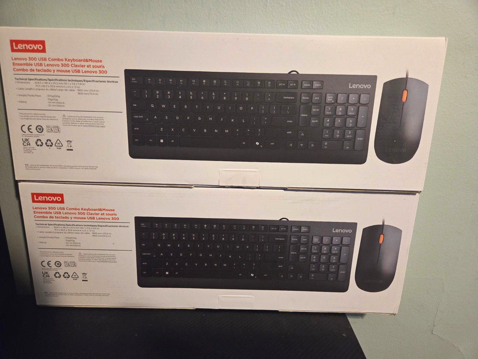 Lenovo 300 USB Wired Keyboard & Mouse Combo Black English QWERTY Copilot