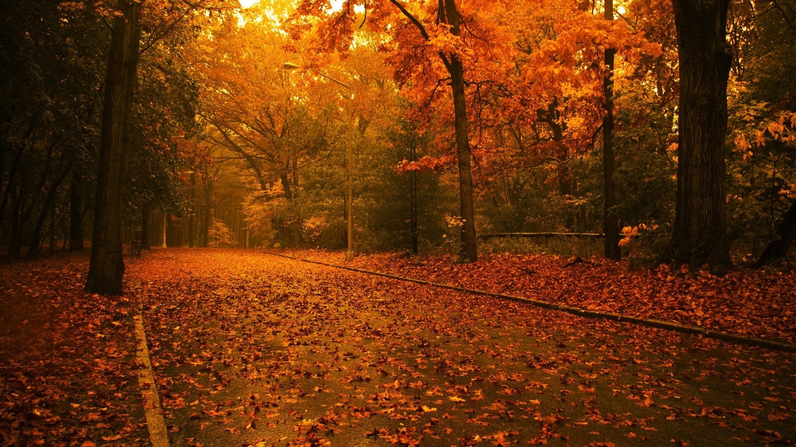 Landscape road leaves trees fall Custom Gaming Mat Desk
