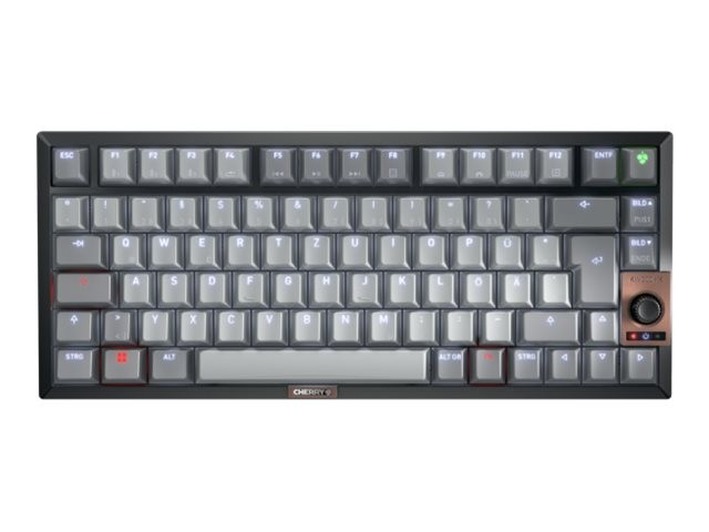 Cherry Kw 300 Mx Silent SWITCH Keyboard Keyboard QWERTZ G80-3960HHADE-2