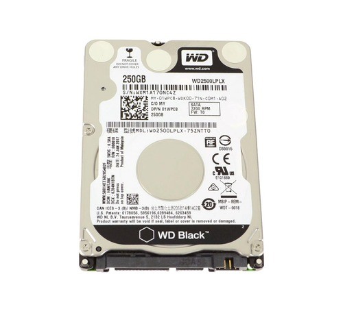 Dell 1WPC8 250 GB 2.5 Inches Hard Drive WD2500LPLX
