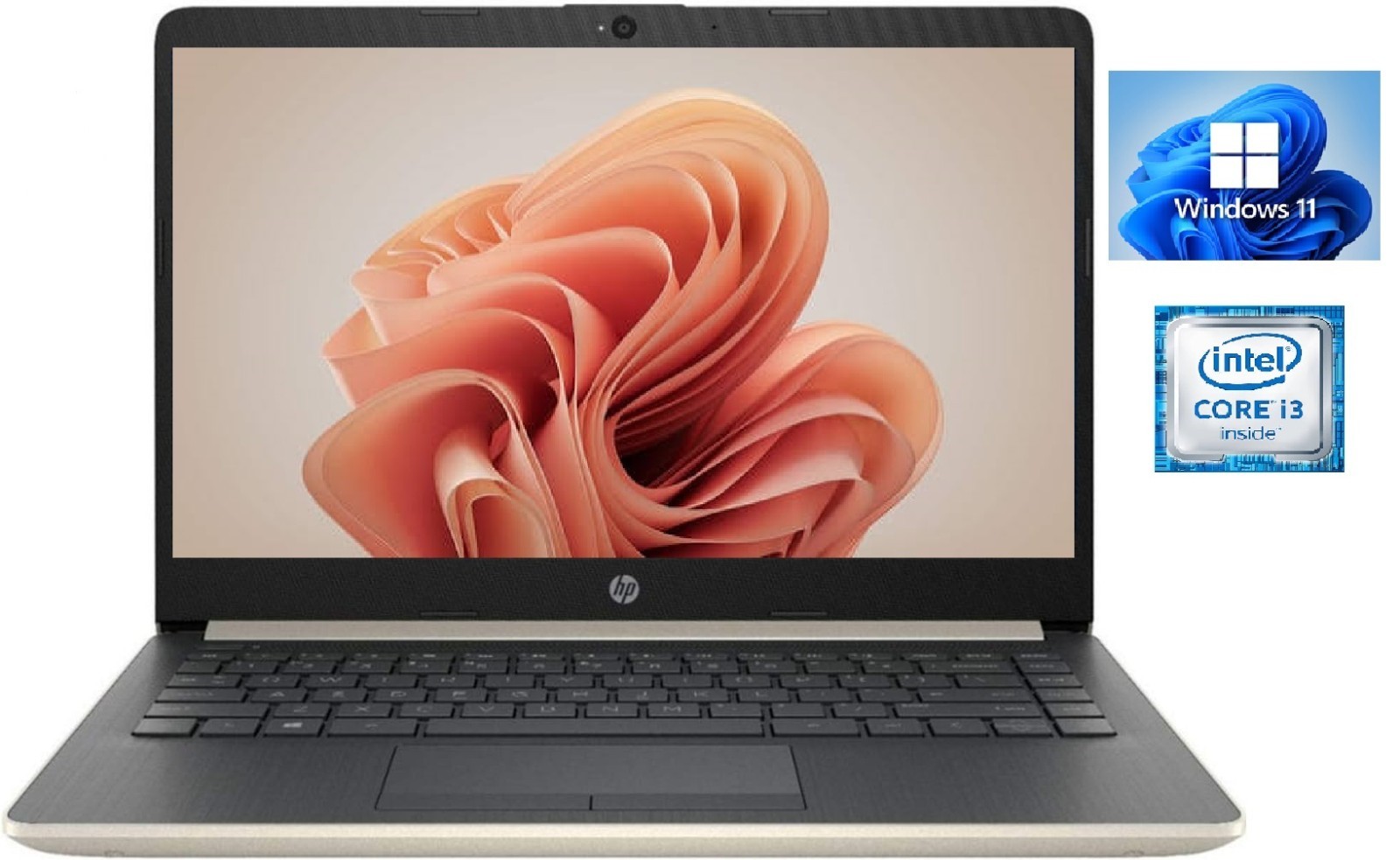 HP 14" HD Laptop, Intel Dual-Core i3 CPU, 8GB RAM, 256GB SSD, Win 11, Ash Silver