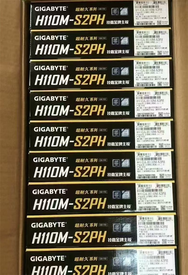 GIGABYTE H110M/S2PH Board with PCI/COM Adapter - Desktop Upgrade